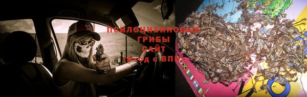 прущие крисы Мегион