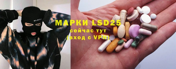 индика Михайлов