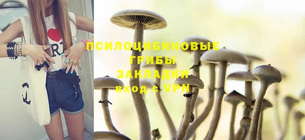 гашик Медвежьегорск