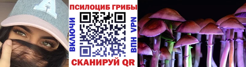 Псилоцибиновые грибы MAGIC MUSHROOMS  площадка Telegram  Чебаркуль 