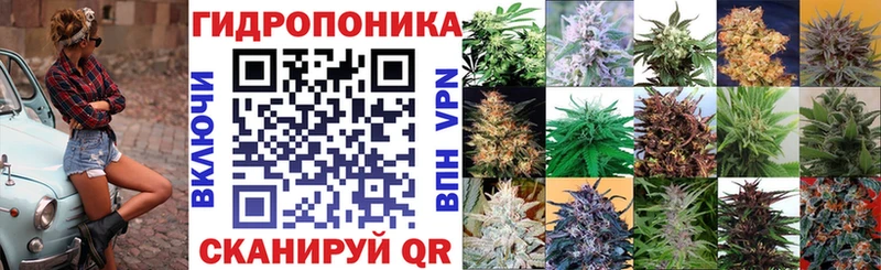купить наркотик  Чебаркуль  ОМГ ОМГ вход  Марихуана OG Kush 